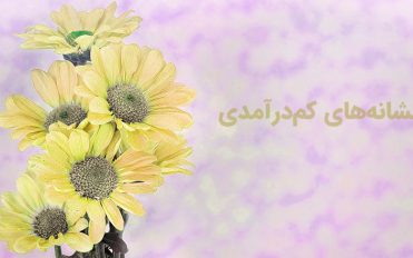 نشانه های کم درآمدی