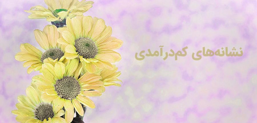 نشانه های کم درآمدی